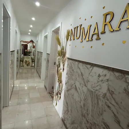 Numara Séjour chez l'habitant Setúbal